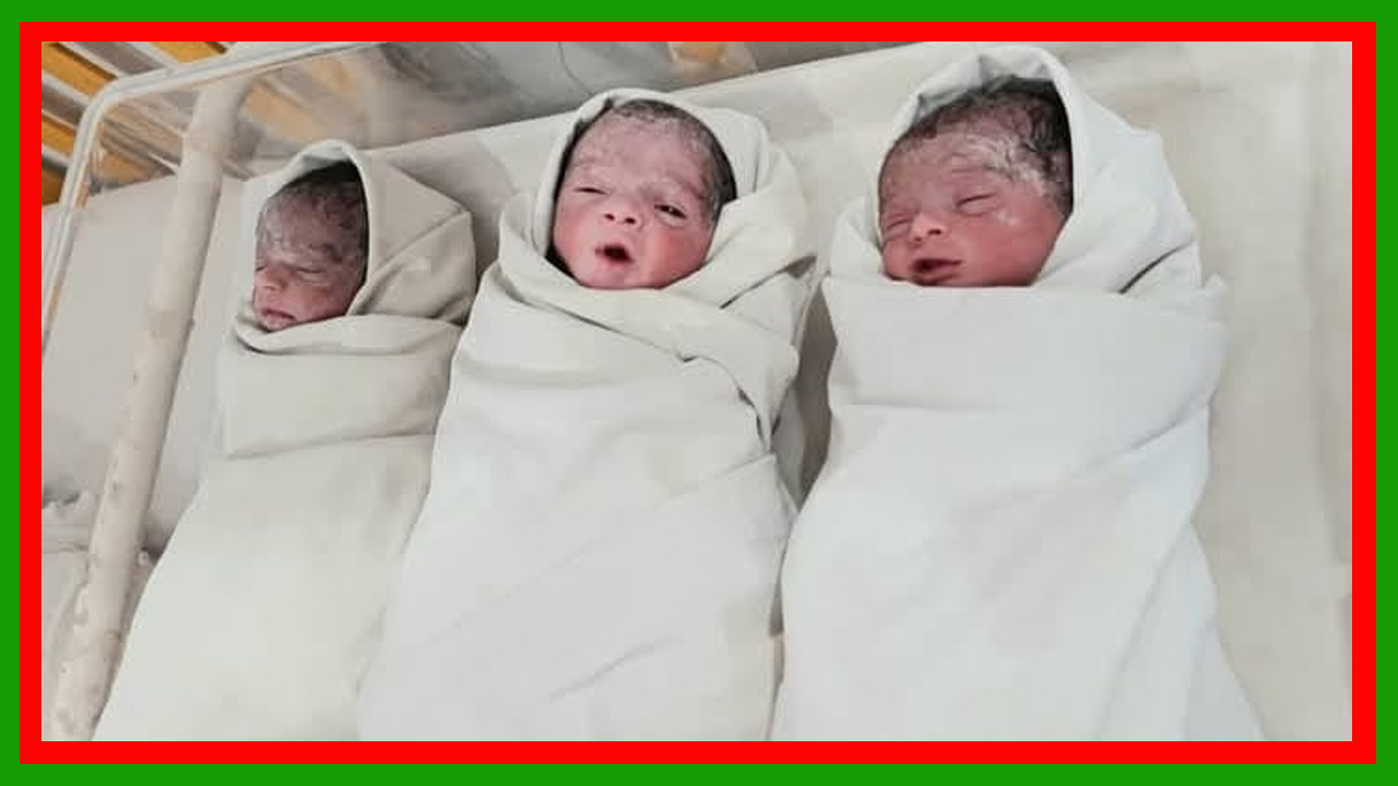 মির্জাপুরের কুমুদিনী হাসপাতালে একসঙ্গে চার সন্তান প্রসব