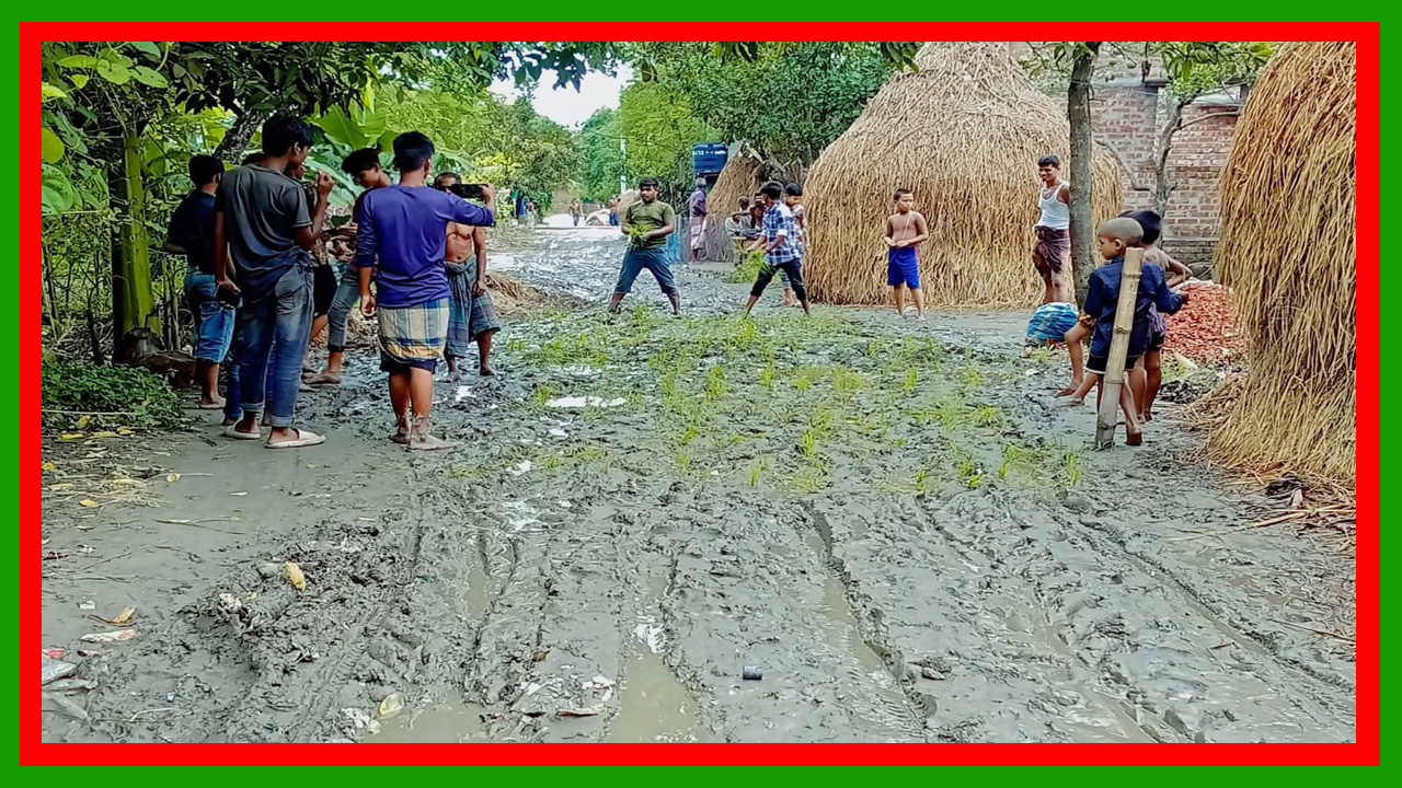 নীলফামারীর কিশোরগন্জ উপজেলার রনচন্ডী ইউনিয়নের রাস্তায় লাগানো হচ্ছে ধান