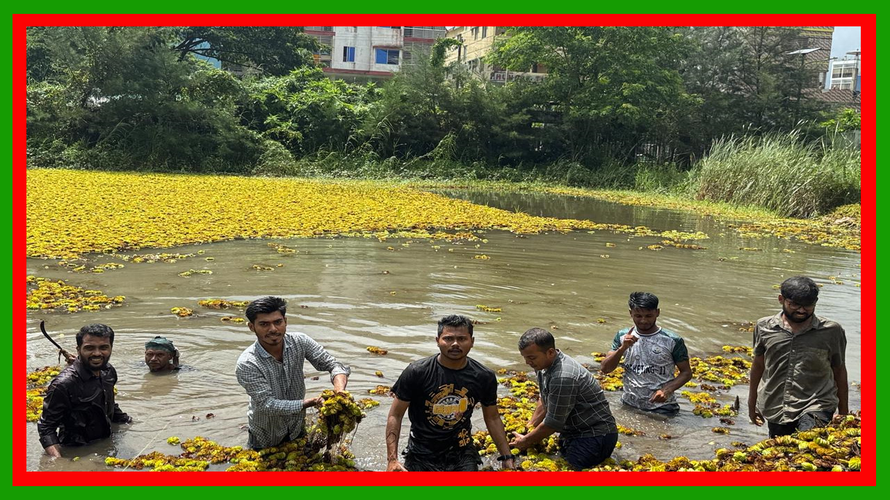 বরিশাল বিশ্ববিদ্যালয়ে ছাত্রদলের পরিষ্কার-পরিচ্ছন্নতা অভিযান