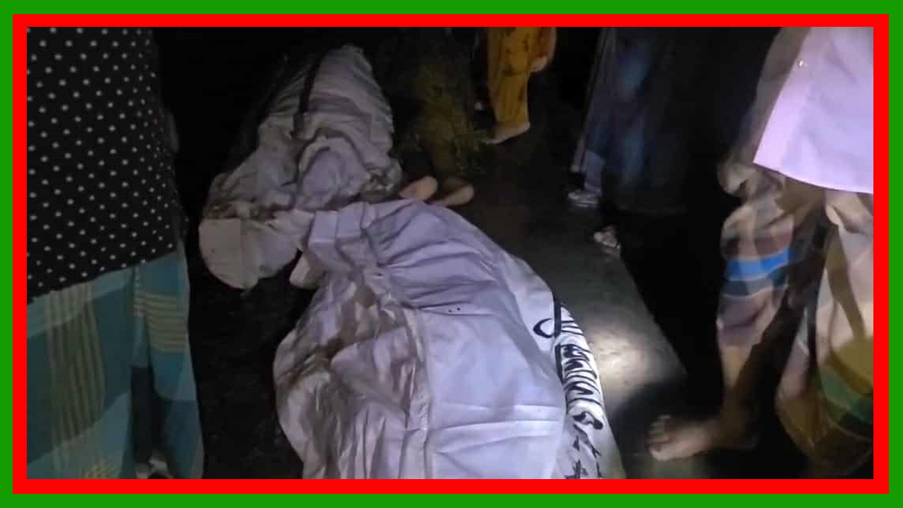 ধামরাইয়ে নিয়ন্ত্রণ হারিয়ে গাছের সাথে ধাক্কায় পিক-আপ পুকুরে : চালকসহ নিহত ২