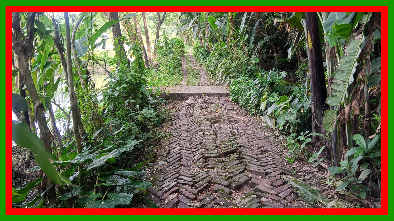 পটুয়াখালীর দুমকিতে এলজিইডির সড়ক ১০ বছরে সংস্কার হয়নি : বেহাল দশায় পরিণত