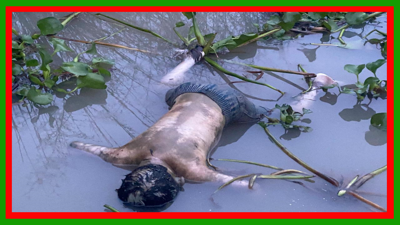 পটুয়াখালীর লোহালিয়া নদীতে অজ্ঞাত ব্যক্তির অর্ধগলিত লাশ উদ্ধার