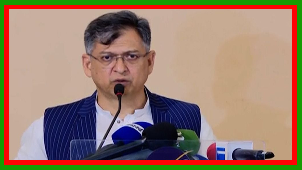 অন্তর্বর্তী সরকার ও জাতীয় ঐকমত্য কমিশনের ভূমিকায় বিএনপি হতাশ : সালাহউদ্দিন আহমদ