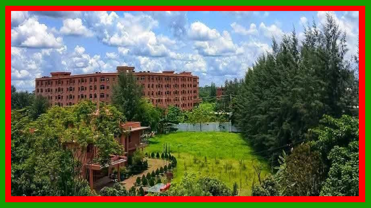 সাফল্যের ১৫ বছর পেরিয়ে বরিশাল বিশ্ববিদ্যালয়: উচ্চশিক্ষার নতুন দিগন্ত