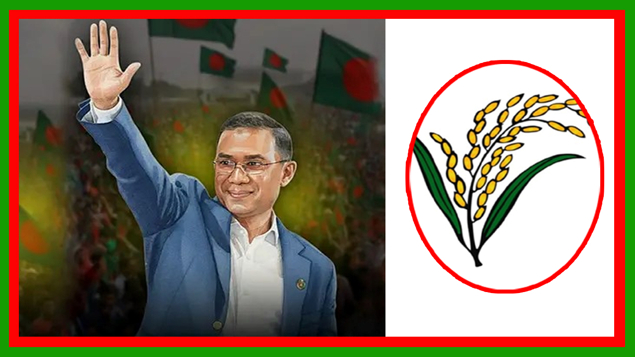 বিএনপির চেয়ারম্যান তারেক রহমান ঢাকা-১৭ ও বগুড়া-৬ আসনে বেসরকারিভাবে নির্বাচিত
